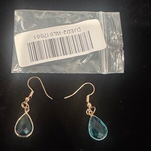 Vintage Blue Inlaid Crystal Elegant  Earrings